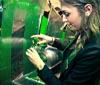 Heineken lancia 'The Sub' con Beyond The Line e accende Milano con 4 video installazioni