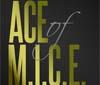 TURKEY - Great success for the award night of ACE of M.I.C.E. Congress