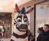 La zebra Khumba è in tour nei centri commerciali d'Italia
