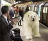 UK - Sky Atlantic polar bear lands in London
