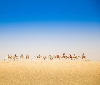 Due appuntamenti a Marrakech per i brand di Page Group. Firma Sinergie