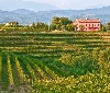 In Friuli Venezia Giulia nasce il club di prodotto 'Rurale-Slow'