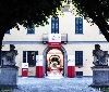 Sinergie Live Communication firma il progetto formativo 'Casa Media World'