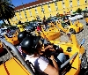 Special (Sinergie Group) organizza un esclusivo incentive per Cattolica