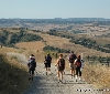 La Toscana inaugura la 'sua' Via Francigena. Tre giorni di eventi con il Festival della Viandanza
