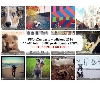 Ritorna #5fotoXunpasto, challenge fotografico di Royal Canin a favore di ENPA