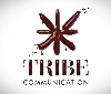 Tribe Communication e Shaman partner di Lindt Italia per attività digital, punto vendita e territorio