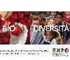 Promocard lancia la nuova collezione di cartoline per Expo 2015