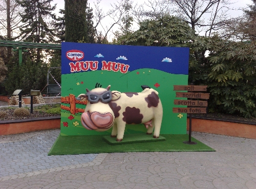 clicca per ingrandire