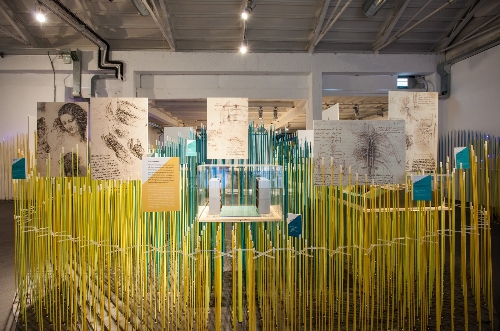 clicca per ingrandire