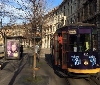 Vernel Soft & Oils, a Milano un tram di bellezza