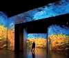 A Torino apre la mostra multimediale su Van Gogh. Proiezioni, luci, suoni per un'esperienza a 360 gradi