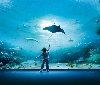 Acquario di Roma, riprende il tour di educazione ambientale nelle scuole