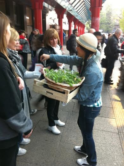 clicca per ingrandire