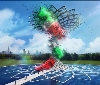 Expo 2015: Albero della Vita, pubblicata la gara per gli allestimenti tecnologici