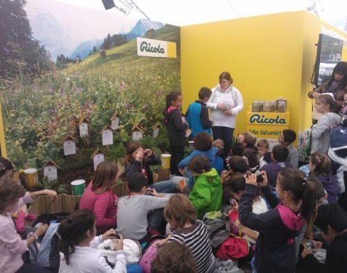 clicca per ingrandire