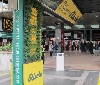 Ricola trasforma Cadorna in un giardino verticale