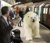 NEWS DALL'ESTERO (UK) - Sky Atlantic polar bear lands in London