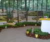 Le 13 erbe Ricola a Villa Erba per Orticolario 2015