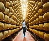 Riparte BlogVille: 15  top travel blogger alla scoperta dei tesori dell'Emilia Romagna