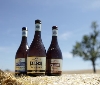 Birra Peroni inaugura la raccolta dell'orzo insieme agli agricoltori del Lazio