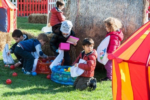 clicca per ingrandire