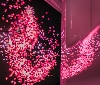 Asus Design Center, guarda le immagini dell'installazione 'Glow of Life' al Fuorisalone