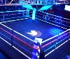 Twitter celebra lo sport con un evento al Teatro Principe di Milano. Gli eventi sportivi seguiti dal 93% degli utenti 