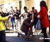 Bea Italia 2014, premio Miglior Evento Low Budget a 'Baci da Napoli' di Louder Italia