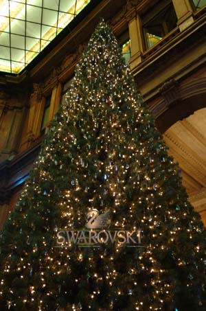 albero1.JPG