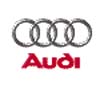 audithumb.JPG