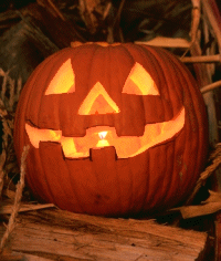zucca.gif