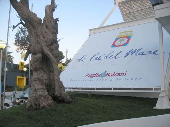 fdl di l del mare copia.JPG
