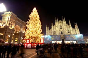 albero natale copia.JPG