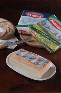 taleggio copia.JPG