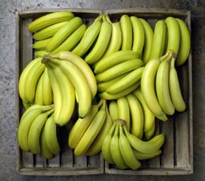 Banane del Costa Rica copia.JPG