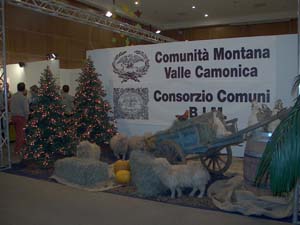 IM003380-1 copia.JPG