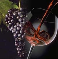 vinothumb.JPG