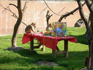 Arricchimenti Bertucce-2 copia.JPG