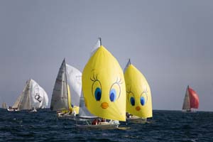 Tweety a Montecarlo2.jpg
