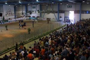 pista_pubblico copia.jpg