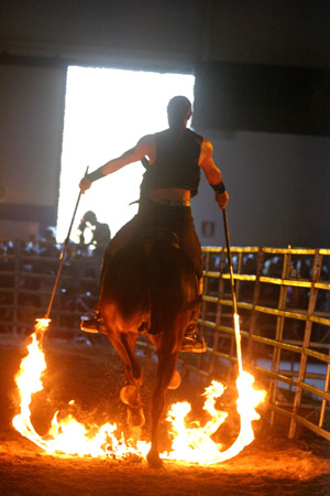 spettacolo_fuoco copia.jpg