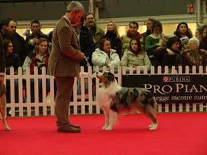 esposizione internazional copia.JPG