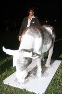 cow7 copia.jpg