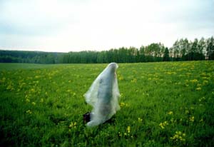 mostrahill copia.JPG