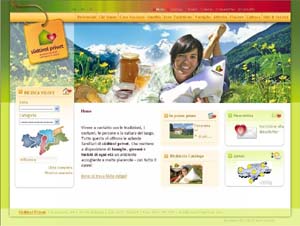 SP_homepage copia.JPG