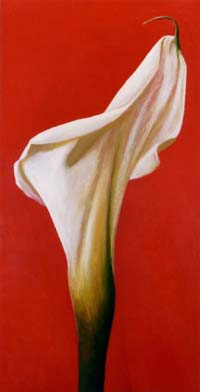 calla-02.JPG
