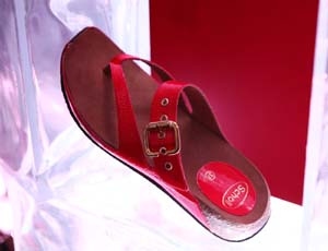 scarpa copia.JPG