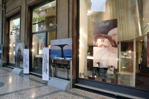 SILHOUETTE-AVEDA013 copia.jpg