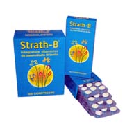 Strath_B copia.JPG
